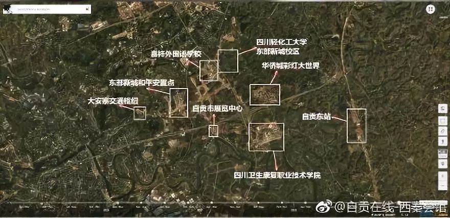 自贡最新逮猫地址2026