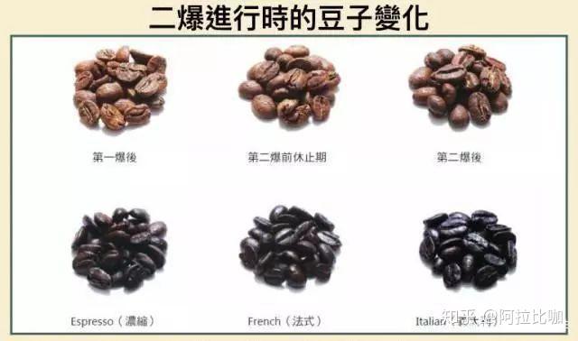行话快餐啥意思