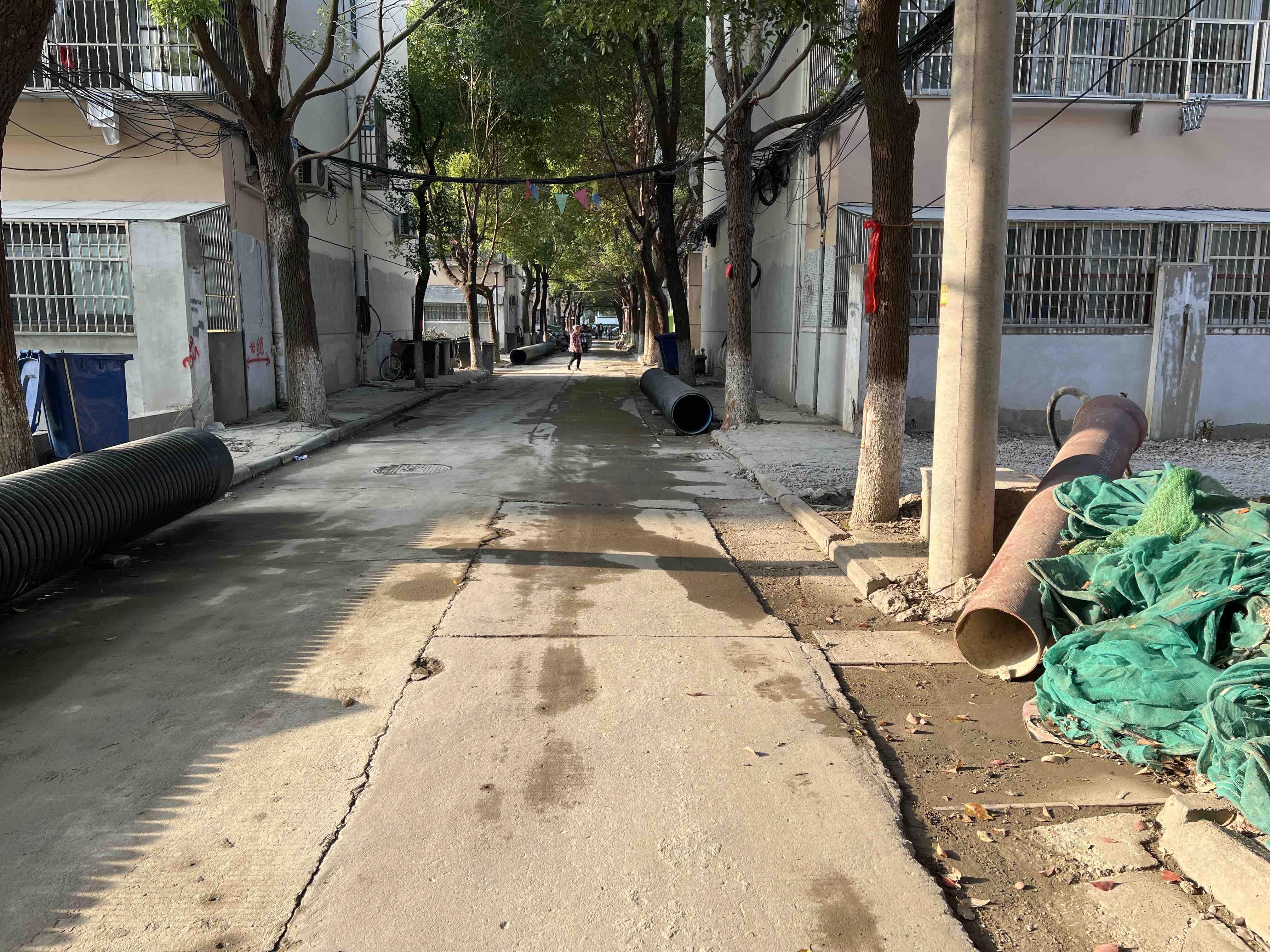西峰翠竹珠幼区小路有玩的