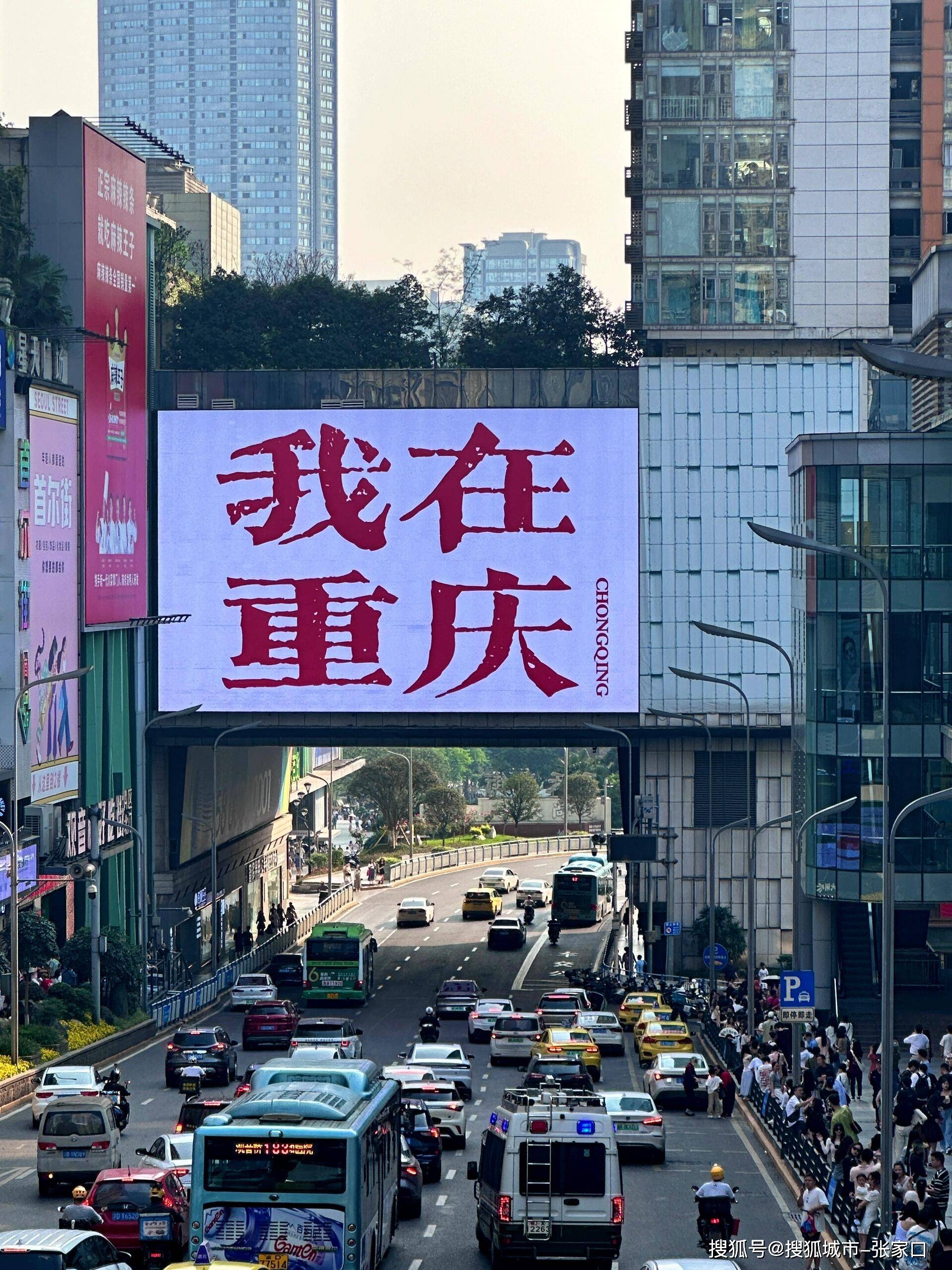沉庆95场