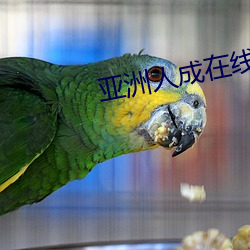 狗爷冬夜城中村嫖娼
