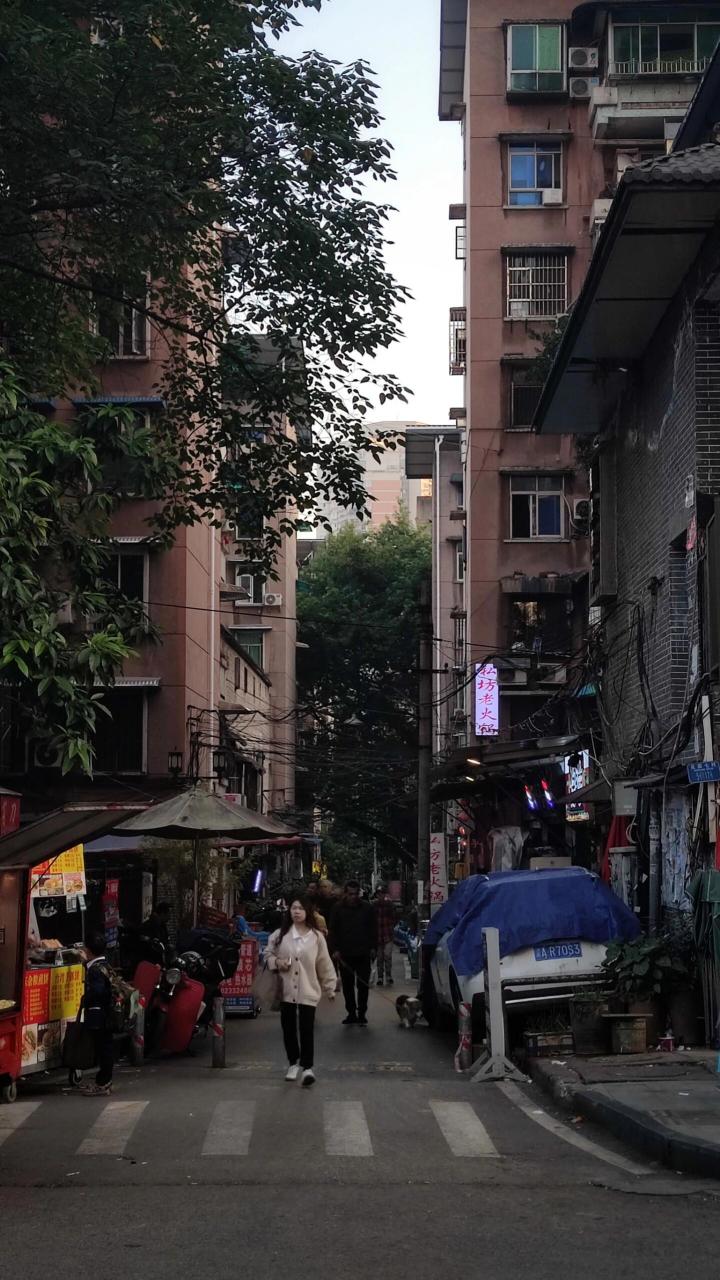 沉庆五幼区的爱情是什么意思