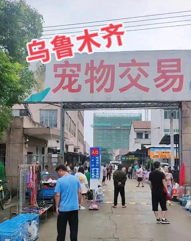 乌鲁木齐天津路卖B