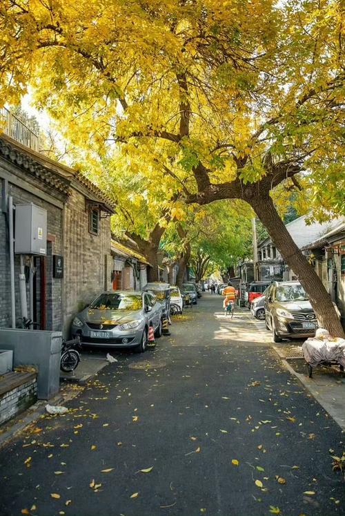 天津北辰区小胡同