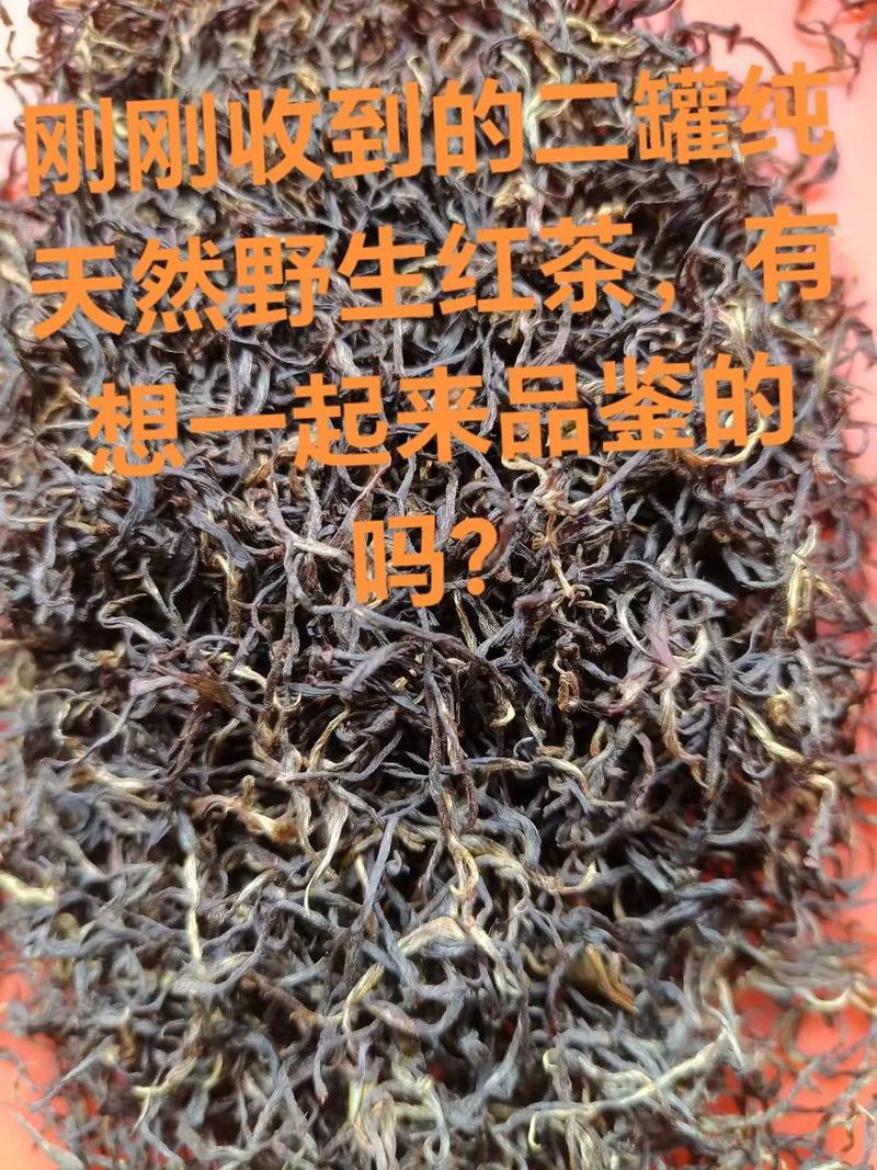 浙江品茶最新论坛
