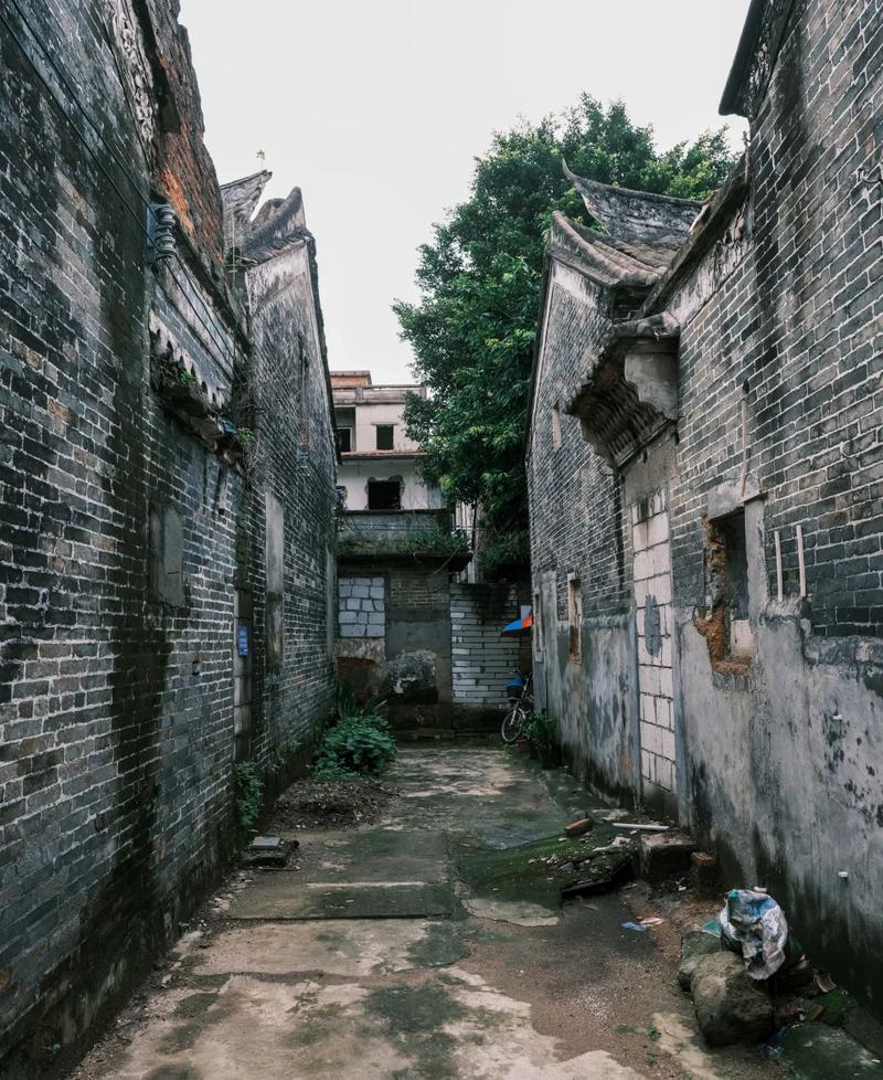 丽江龙岗平湖幼小路