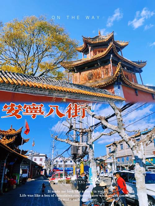 舒服哪个小路有玩的