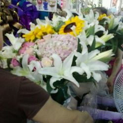 苏州推拿一次花几多钱