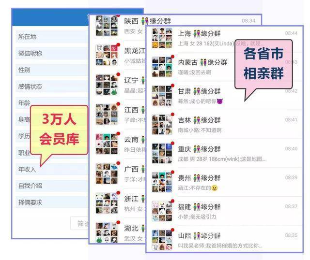 微信约会群