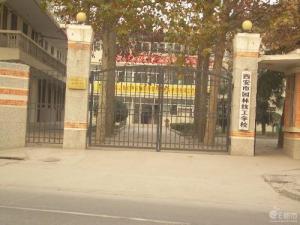 西安东郊到家技师推荐