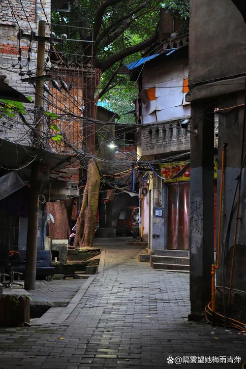 沙坪坝公园对面幼小路