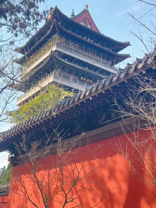 清风阁我爱干网站