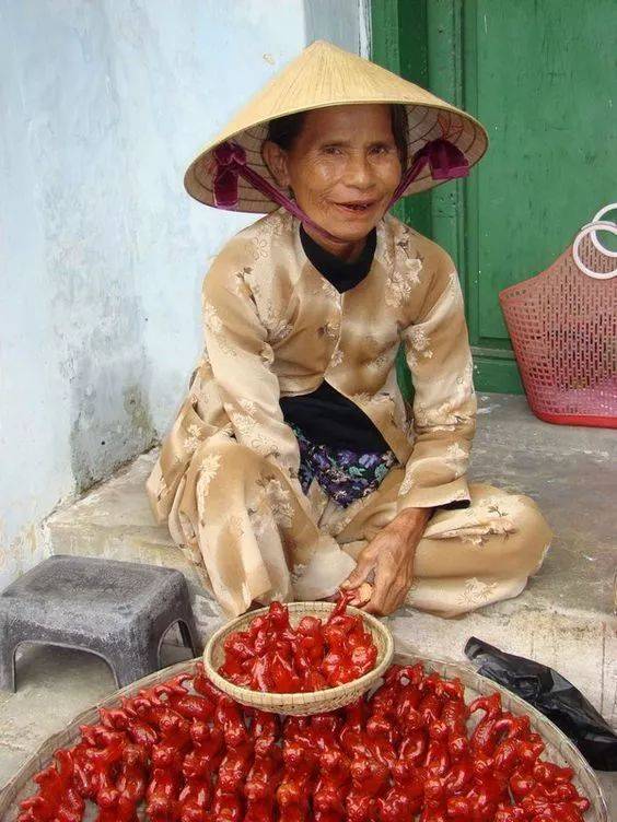 越南鸡婆