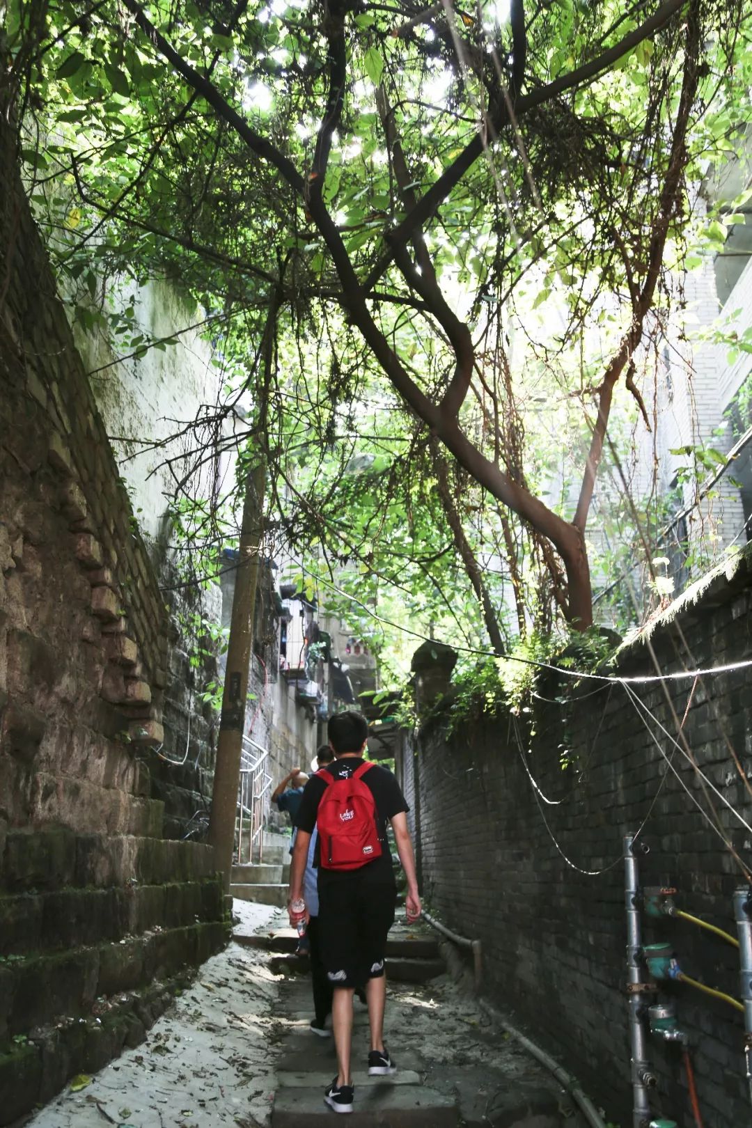 南山那里巷子
