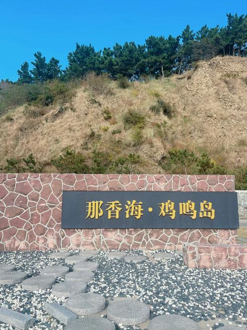 威海周围那里有鸡