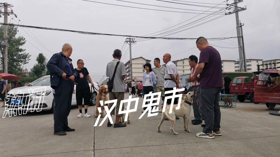 汉中现在那里尚有卖的