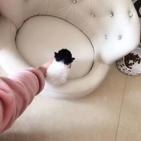 呼和浩特spa陪洗
