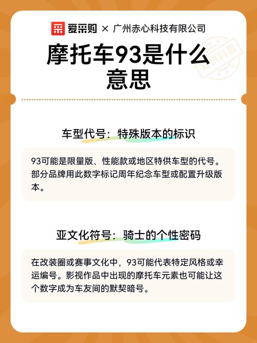 93项目是什么意思