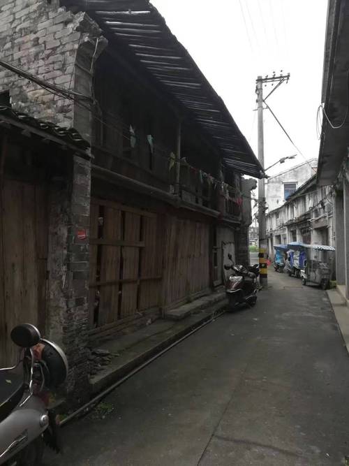 荆州龙港幼小路在哪里