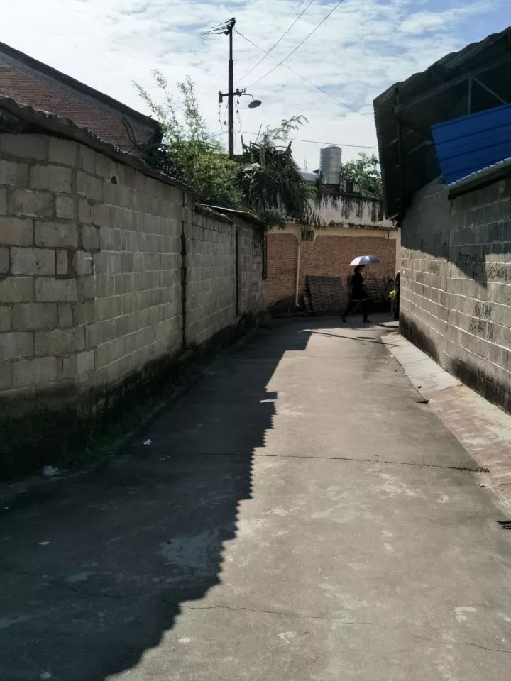 兰溪幼小路150