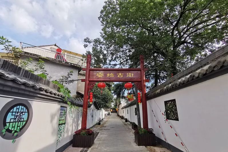 义乌市义亭镇幼小路