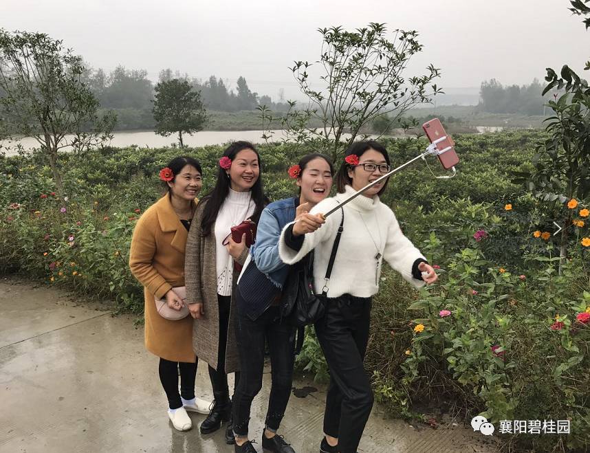 襄阳团山的姑娘都去哪呢