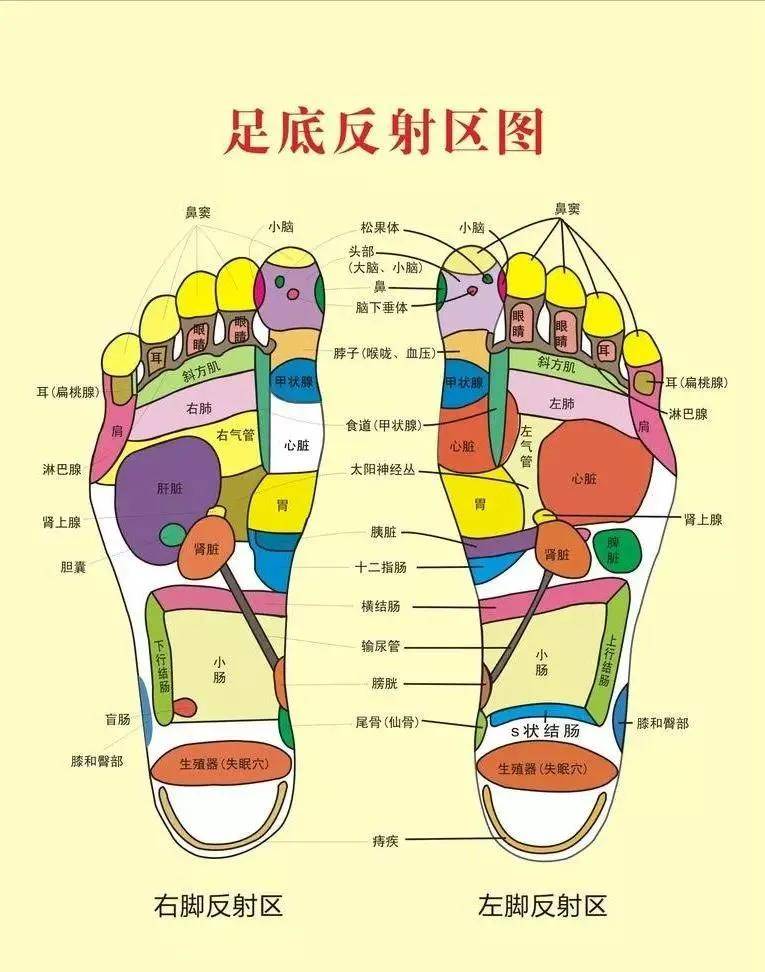 足底推拿全套是什么意思