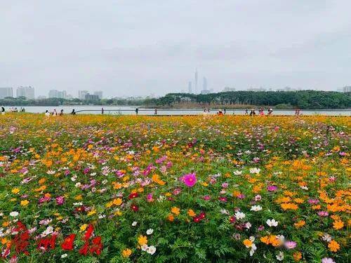 昭通百花丛QM论坛首页