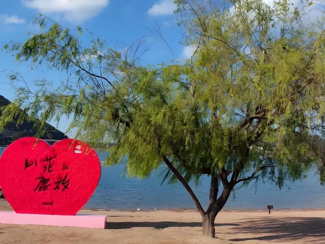 长沙150的爱情