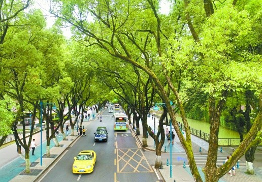 2026长沙玉兰路哪条巷子有妹妹