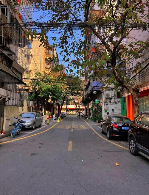 汉中厚街松猴子园旁的幼小路