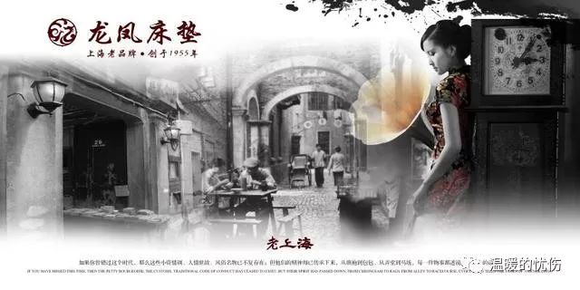 乐上海龙凤