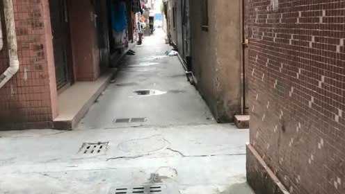 汉中东城下桥幼小路地址