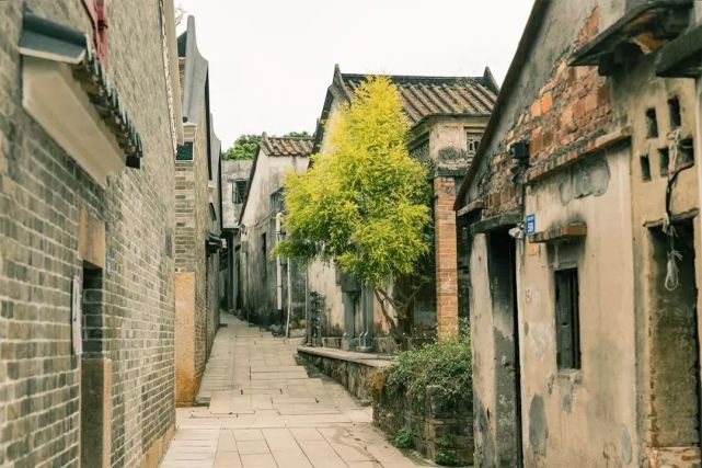 丽江宝安哪里有小路游