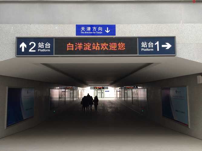 白洋淀哪里有站幼巷的
