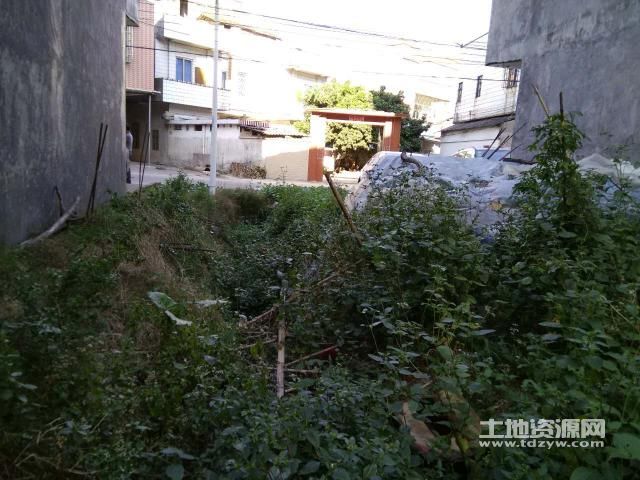 从化棋杆镇小路在哪里
