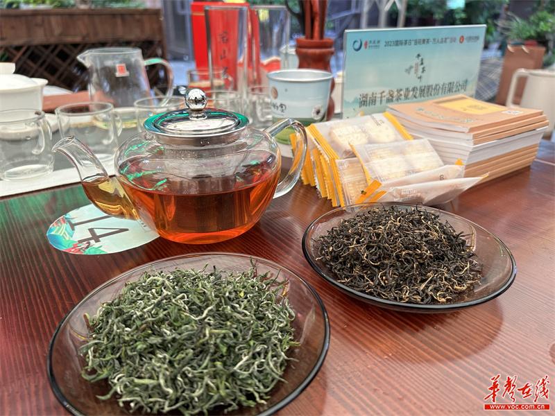 岳阳品茶可有选人的场子