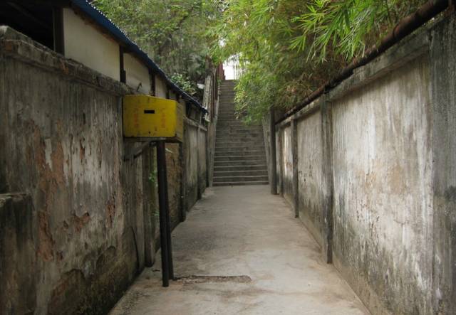 信阳汉子半夜去的小路叫什么