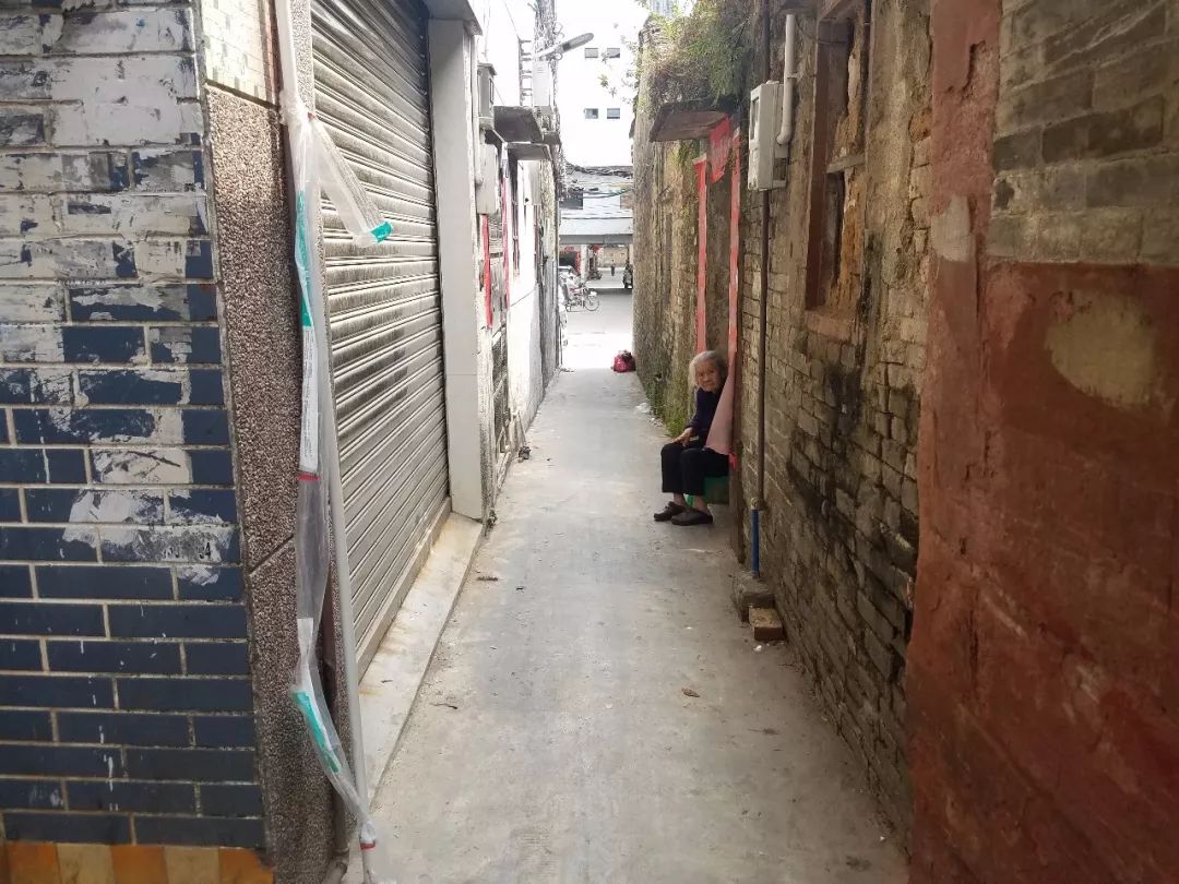 博罗县园洲镇幼小路的百元爱情