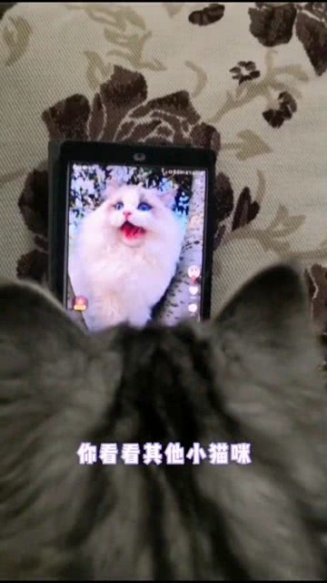 咸鱼搜什么怎么找女孩