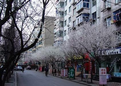 林州桃花街年轻的
