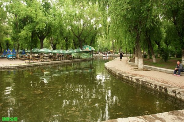 哈尔滨建国公园有鸡吗
