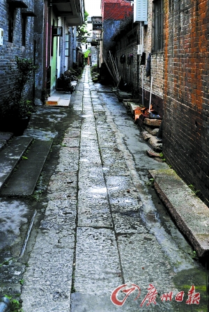 杏坛此刻的站小路去哪呢