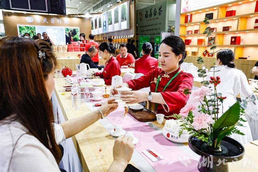 武汉三镇品茶论坛