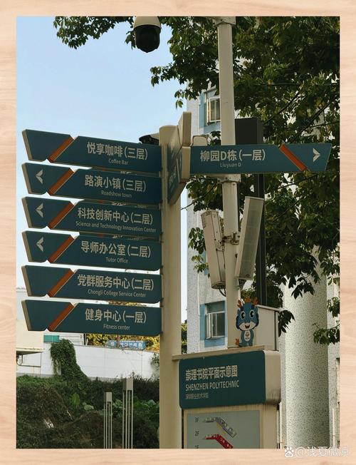 西丽那里鸡婆