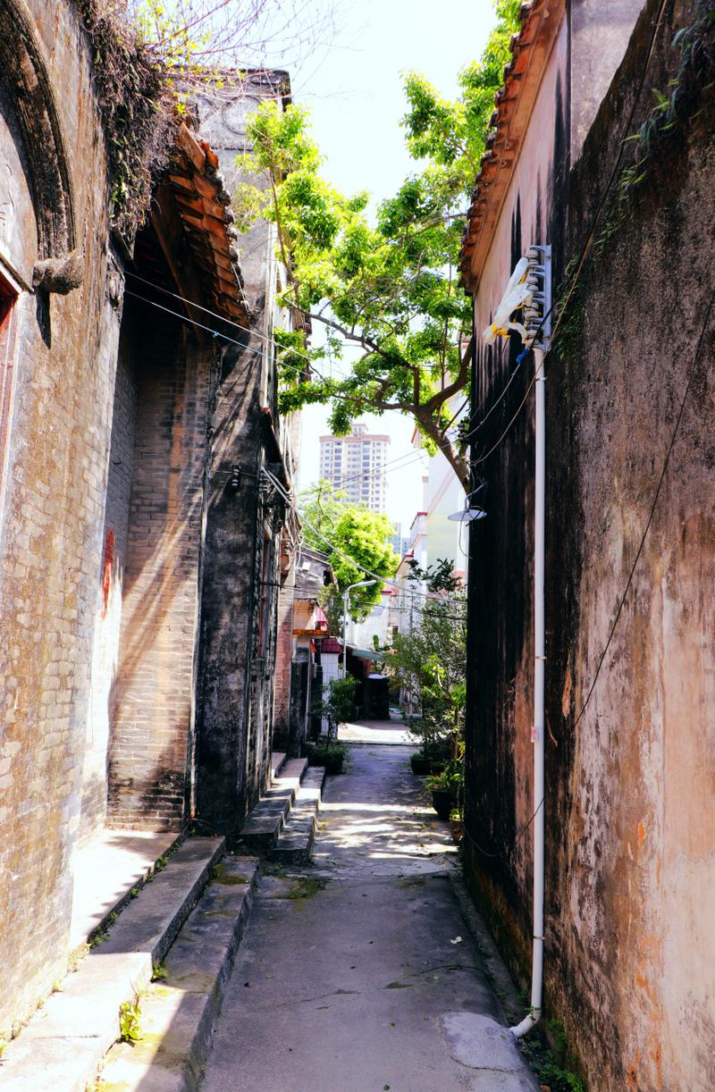榆林火炬开发区幼小路