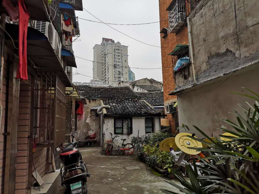 荆州滨海左近幼小路