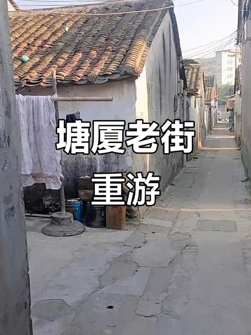 塘厦幼小路好玩的处所