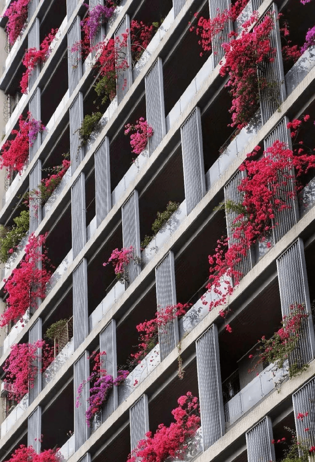 百花楼信息是真的吗