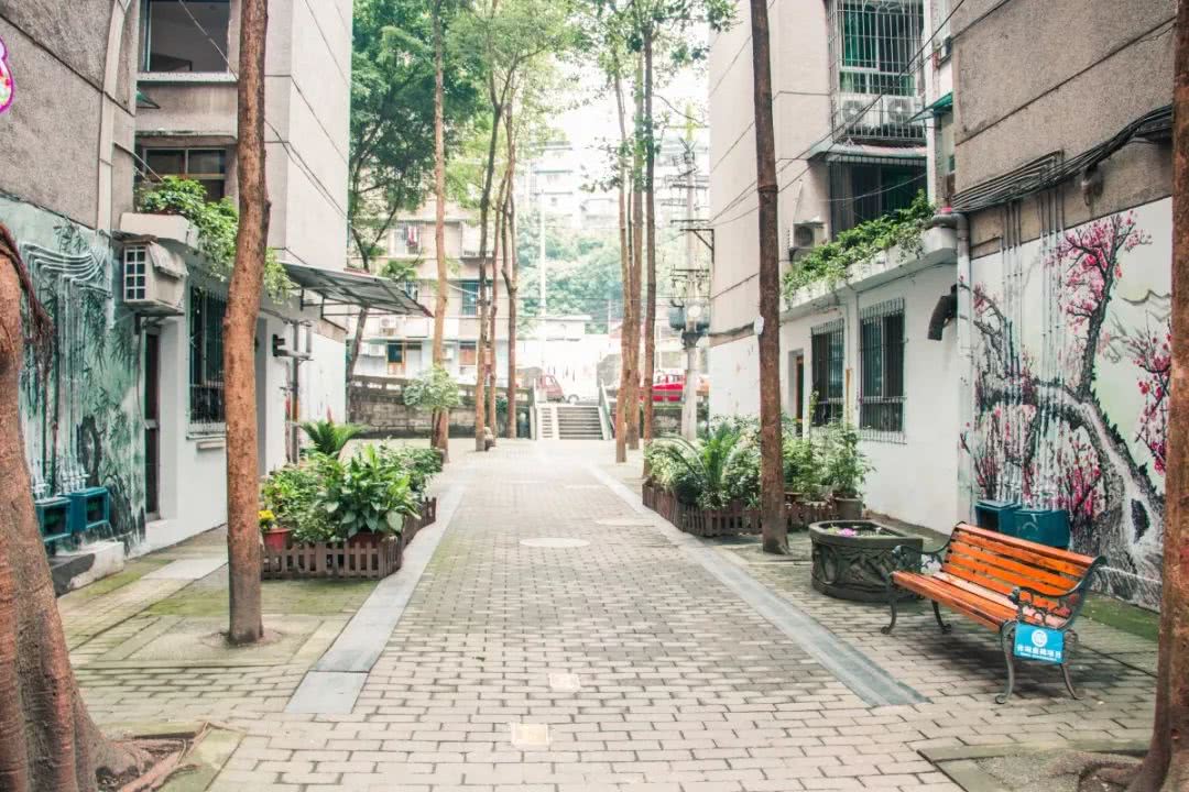 沉庆5幼区哪里有耍的